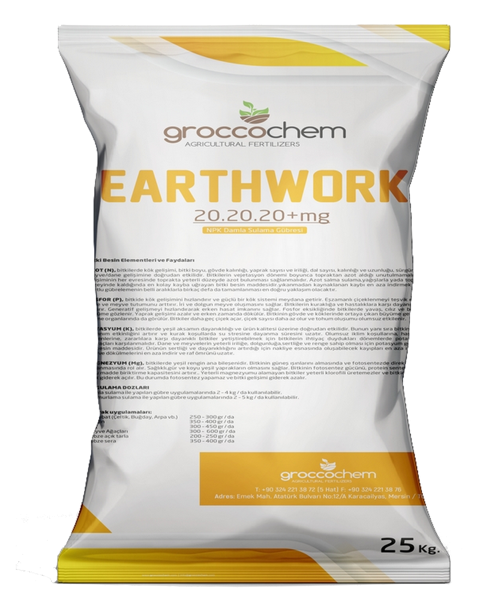 EARTHWORK